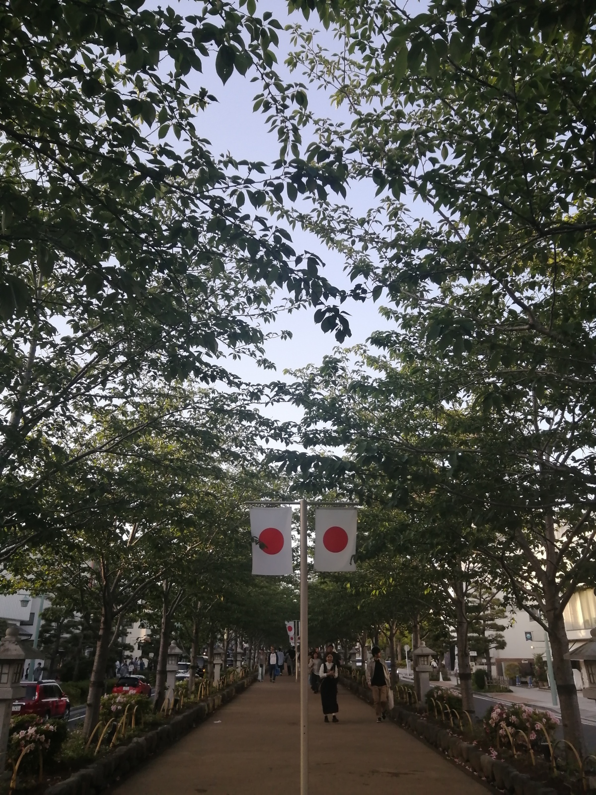 V΂̒i