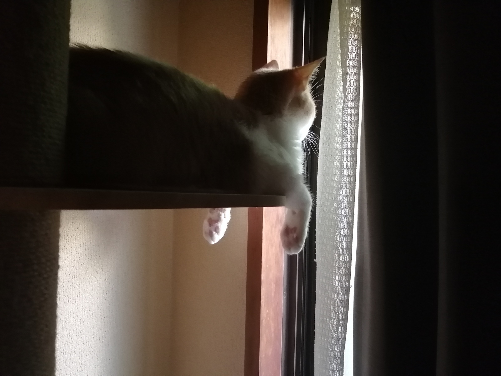 おはようせかい