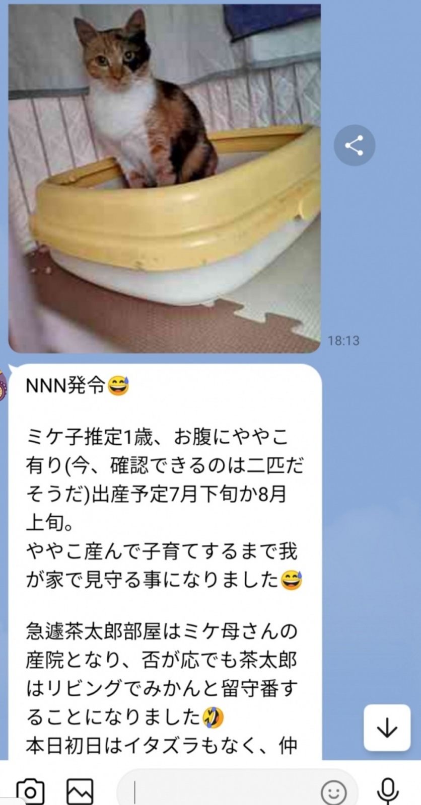 2023N624A̓