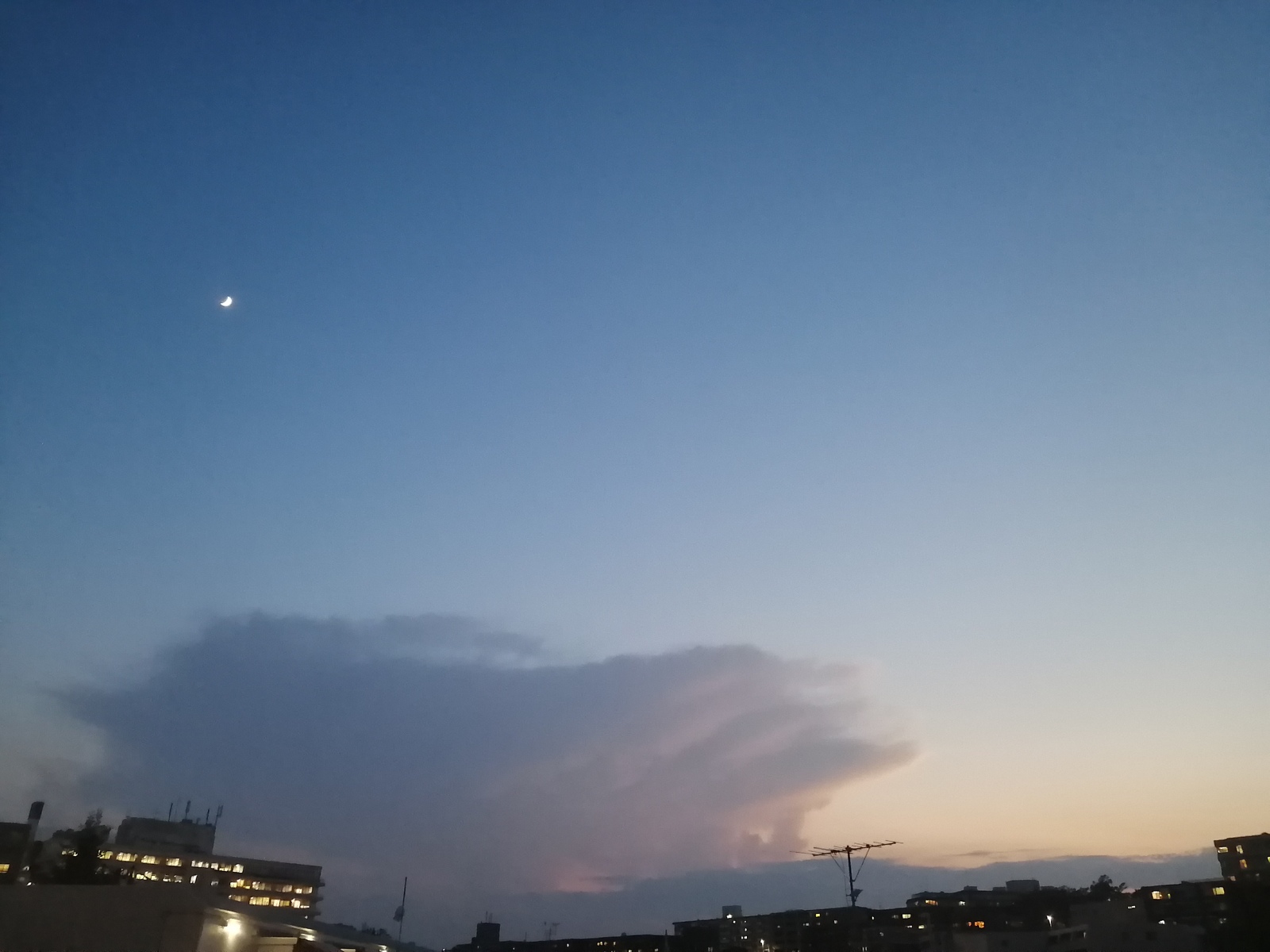 ĉz̗[