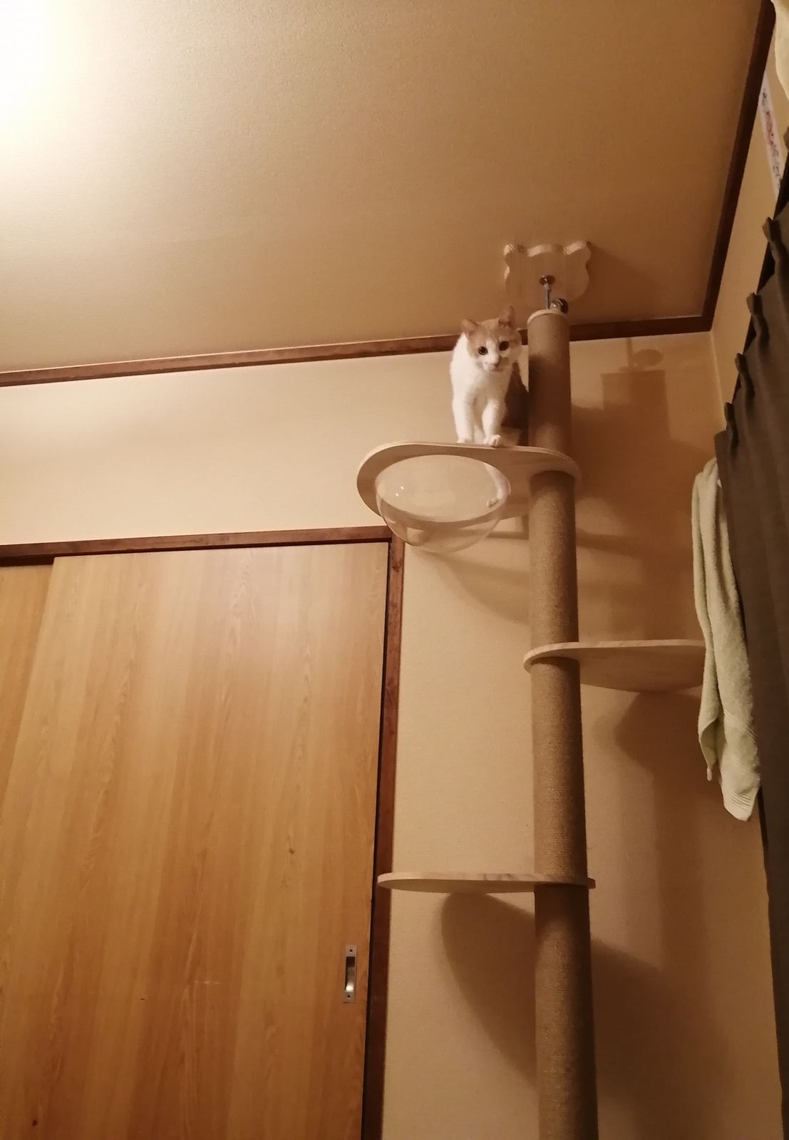 |