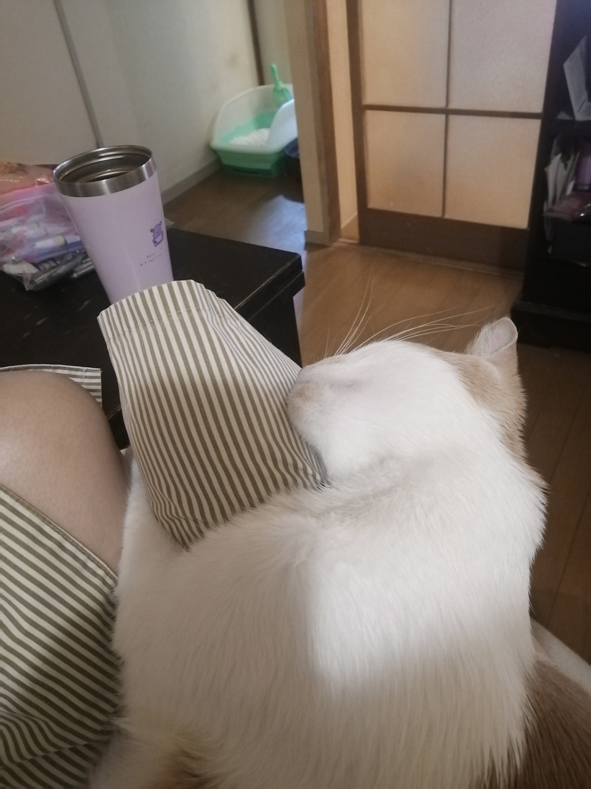 ÉAĂĂ炸ƂB
