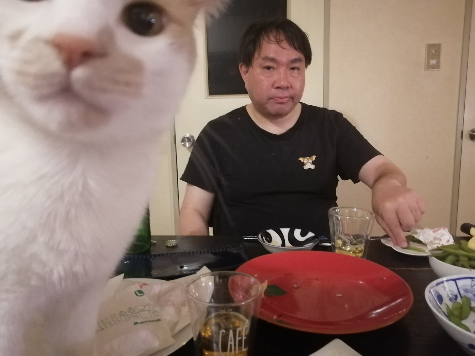 ߂łƂLINE肪Ƃł