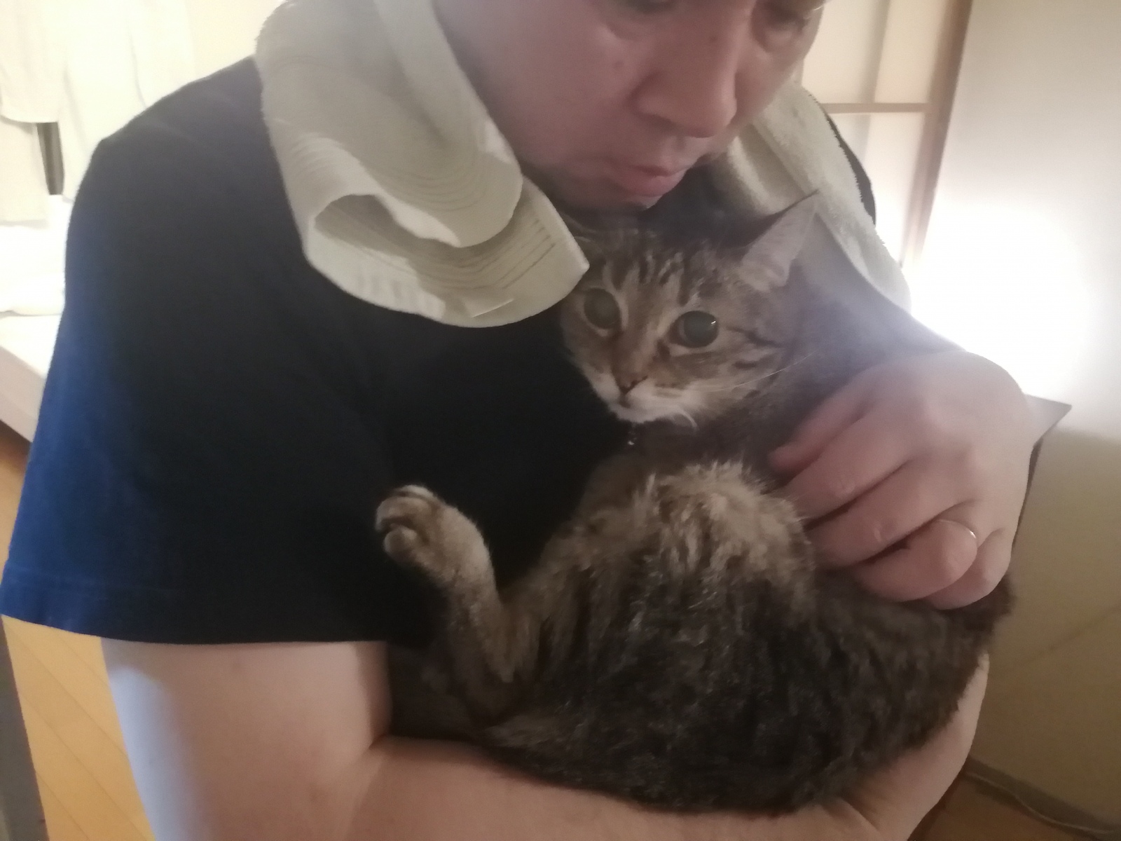 おそようごさいますのなのー