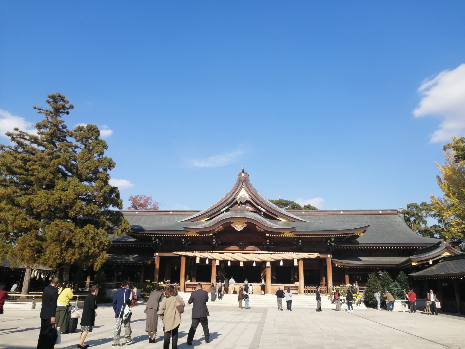 虫が苦しがって泣く