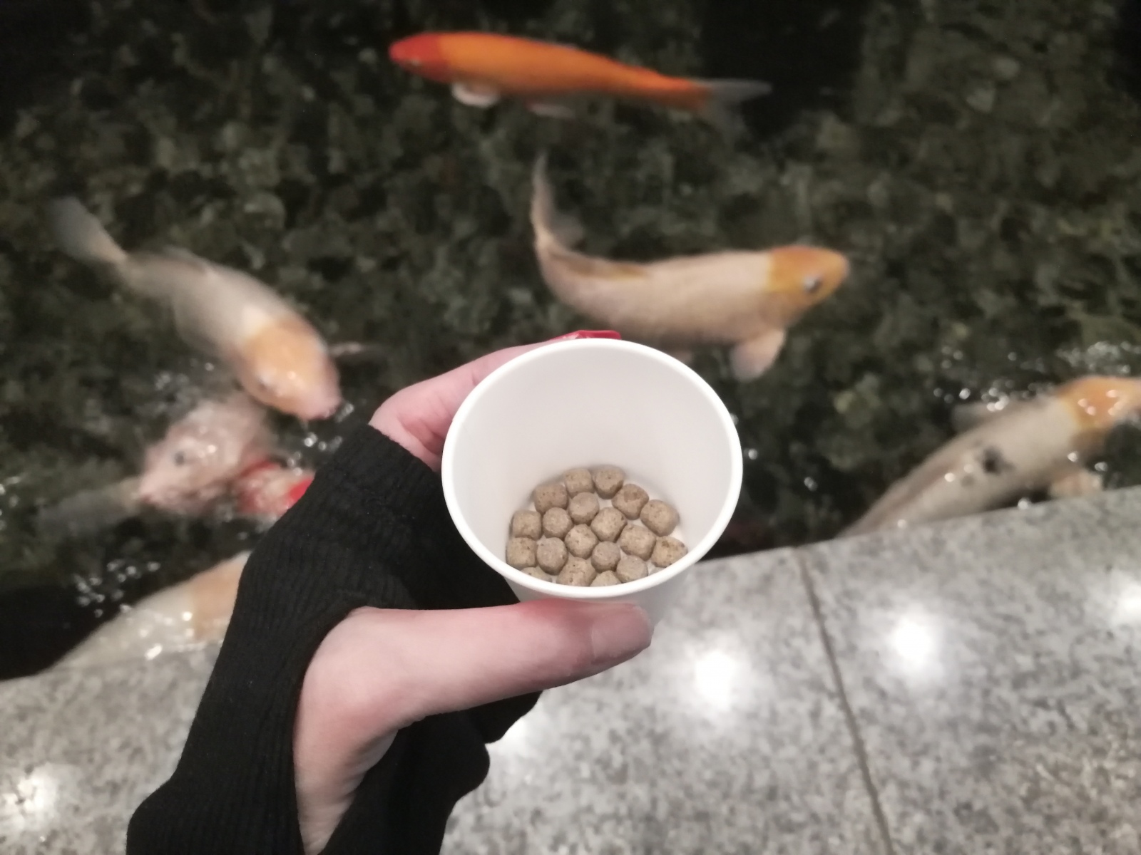 �z�X�s�^���e�B��򉻗͂ɂ���