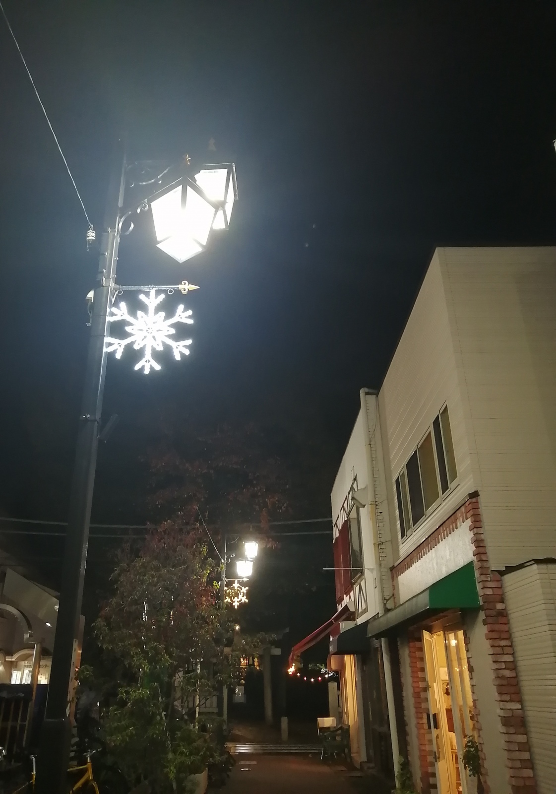 �����ꂳ�܂�����