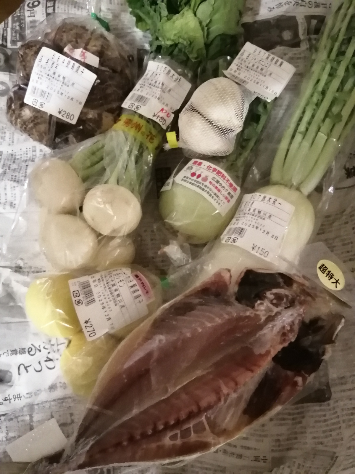 ���͂悤�������܂�