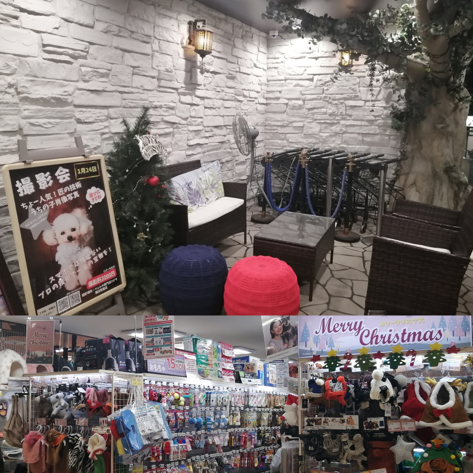 ���߂����̃v���[���g�����ɗ���