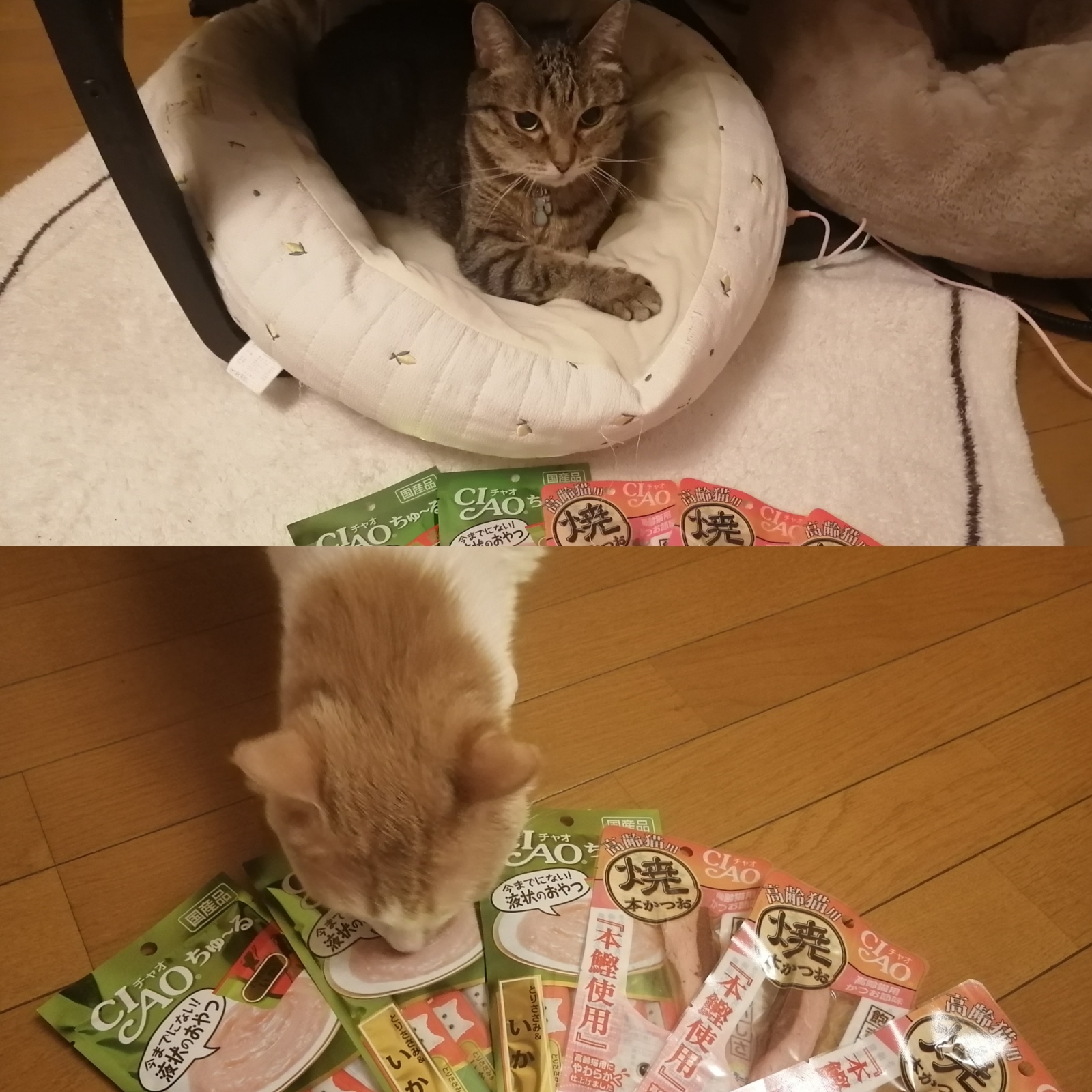 �J�̒��ׂׂ̗̉w�܂ŎU�c����ЂƂ����肵�ăQ�b�g���Ă�����