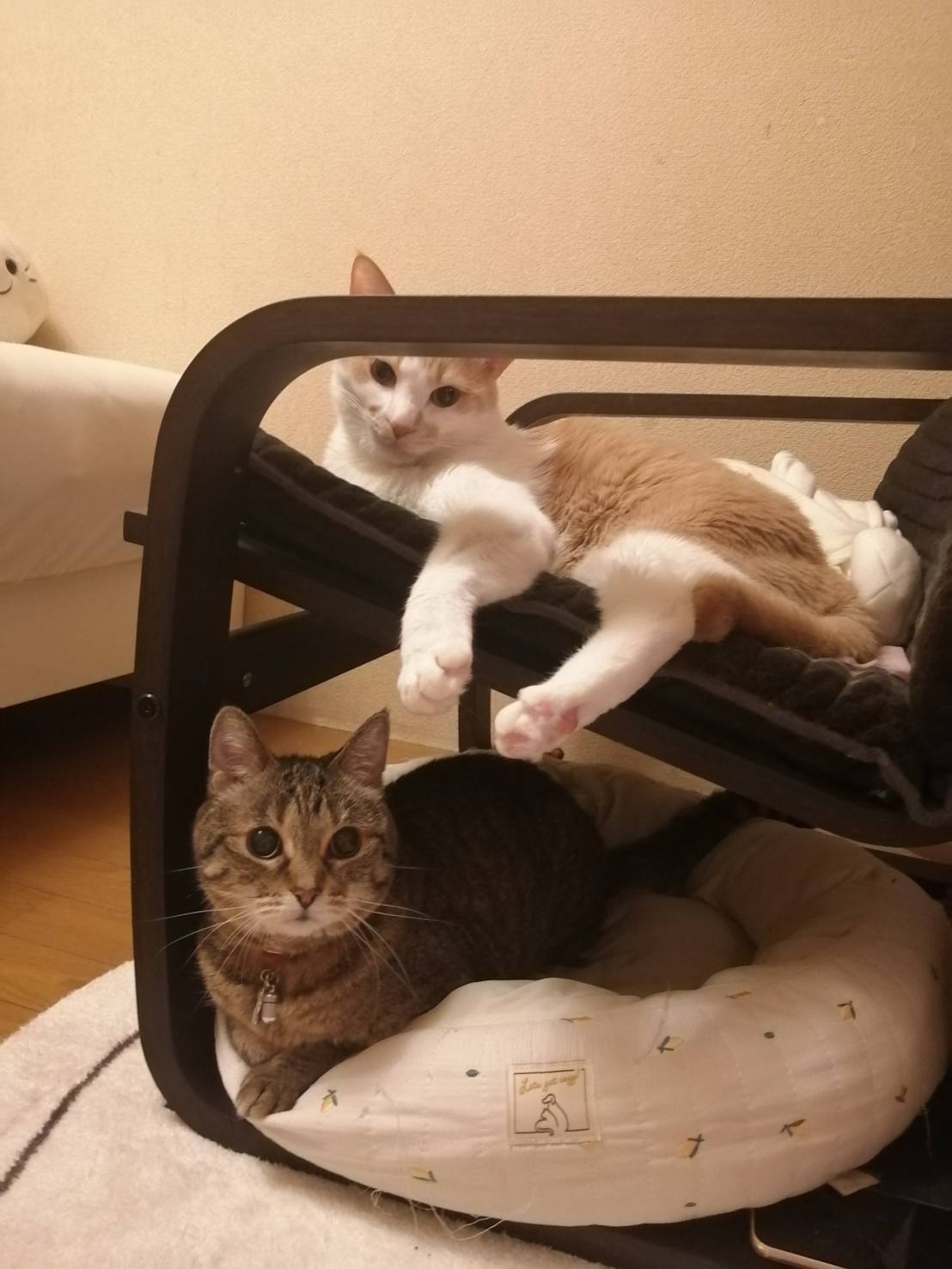 �܂����Ă���t�ցc