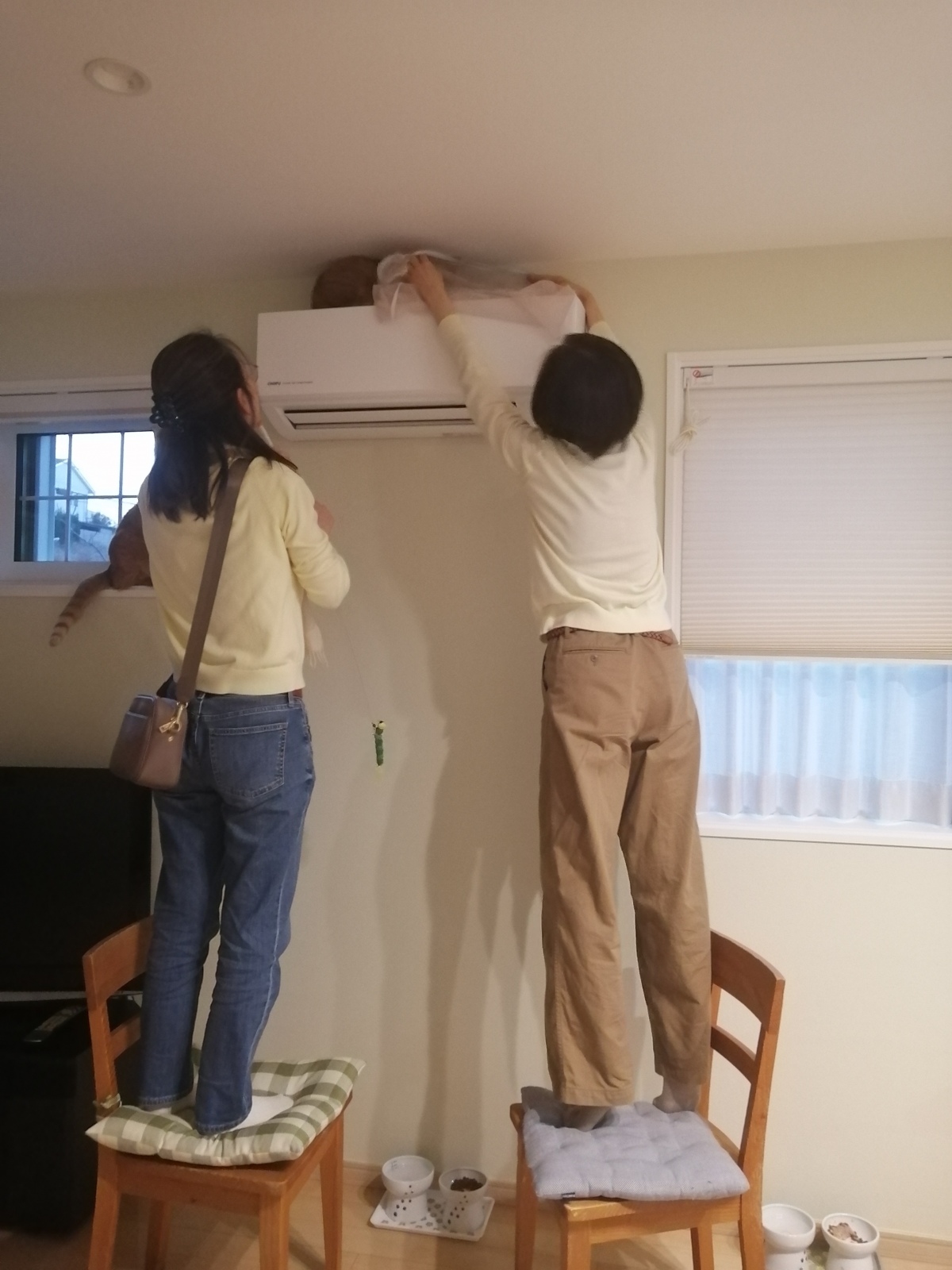 ���悢�您������̒i�ɂȂ��āc