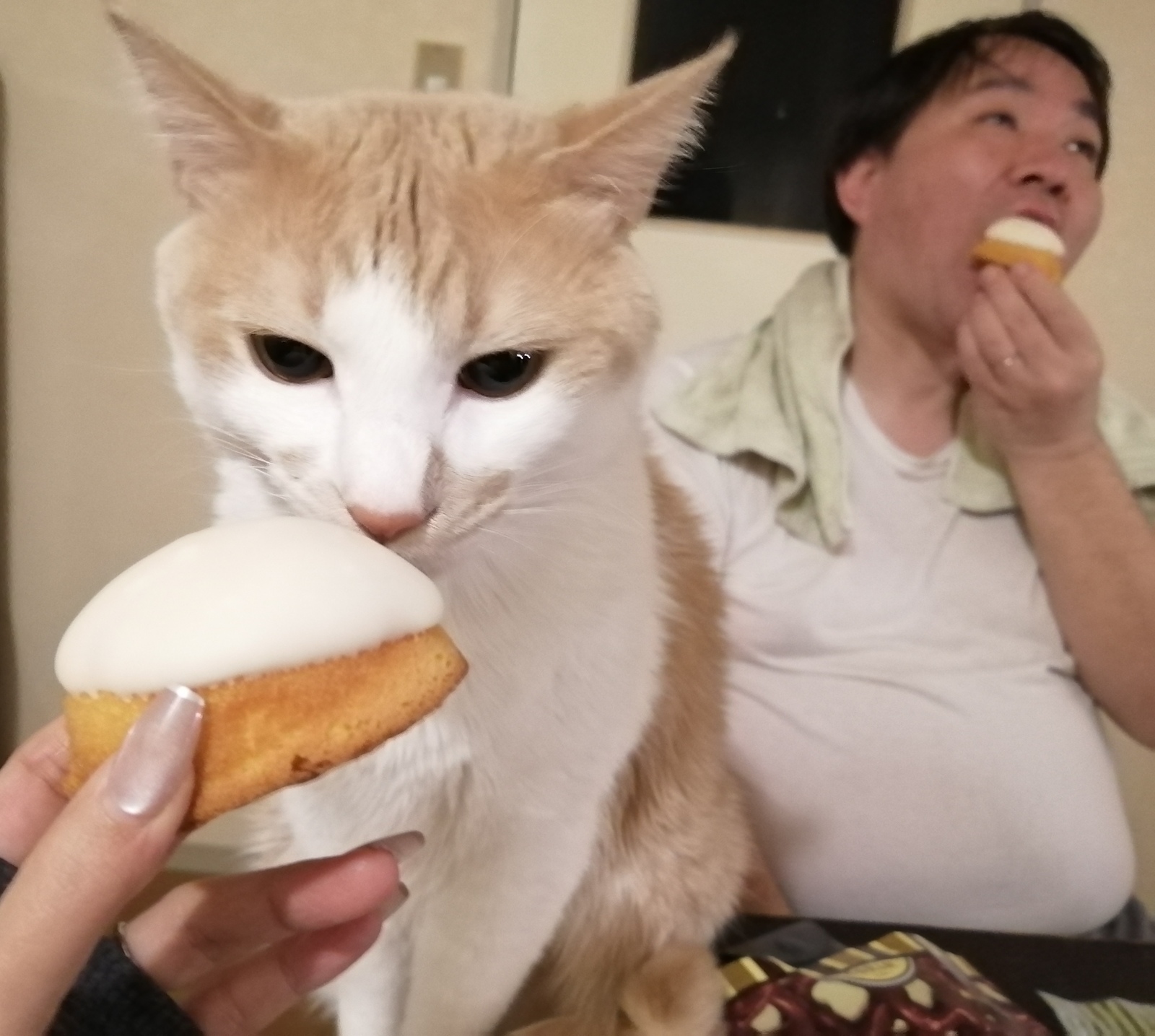 ��������ł�