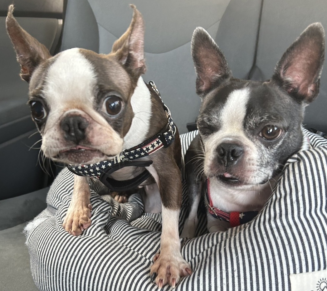 �J�[�r�B�ƃ��h���f�B