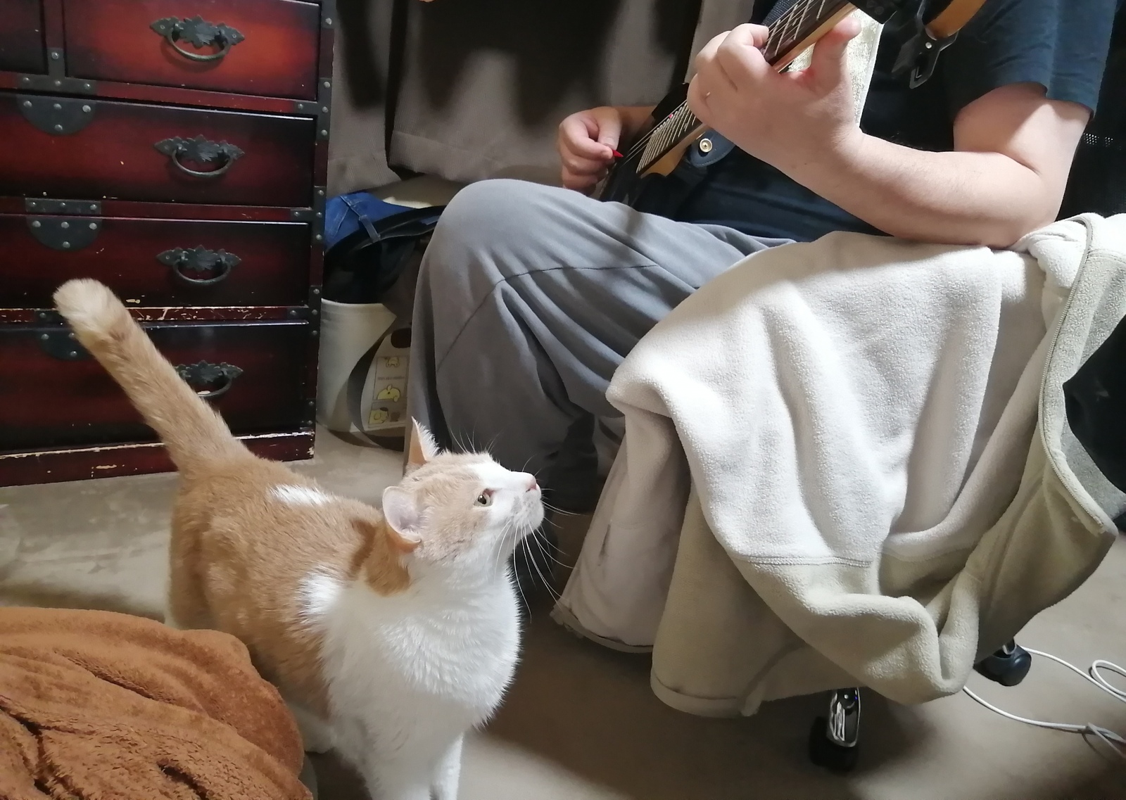 �ڂ�����M�^�[���e������