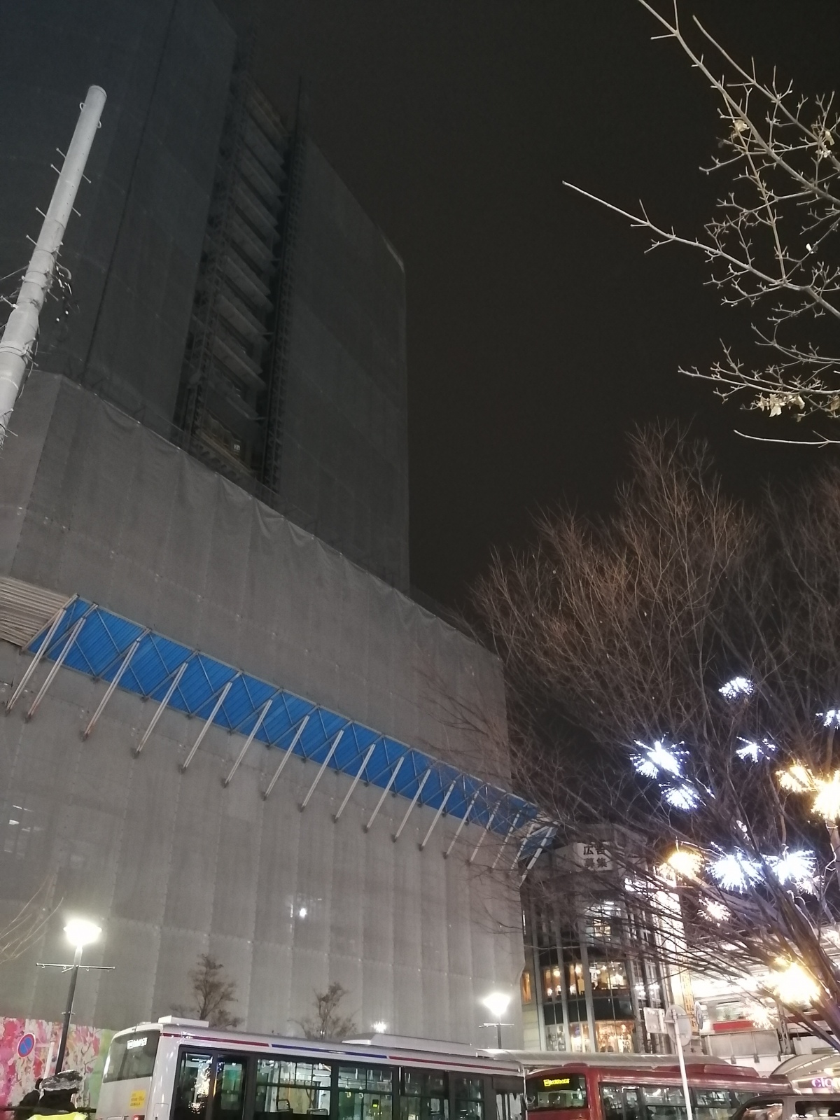 �����ꂳ�܂�����