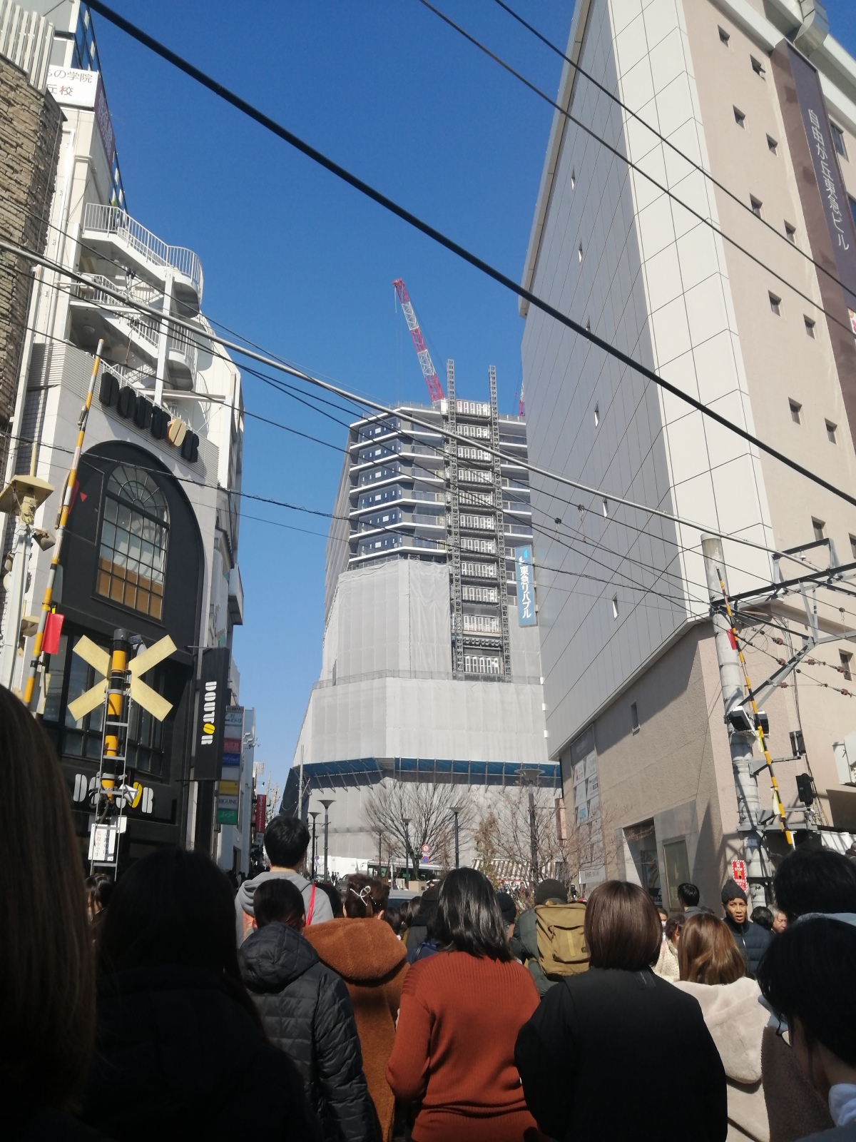 �{���͑Ζʃ��C�L�{�p�ł�