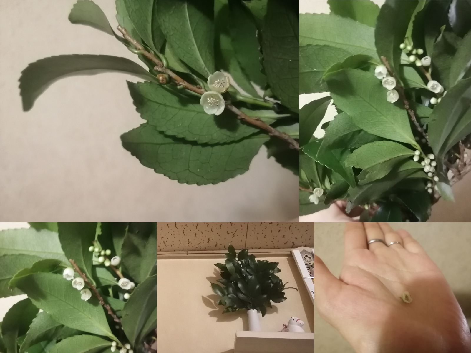 �_�I�̂���