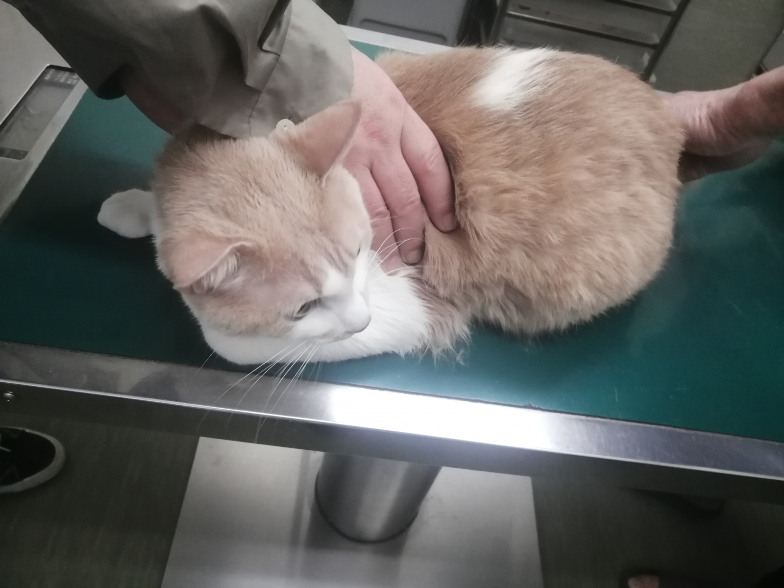 ������M�����ꂽ�ł��ざ