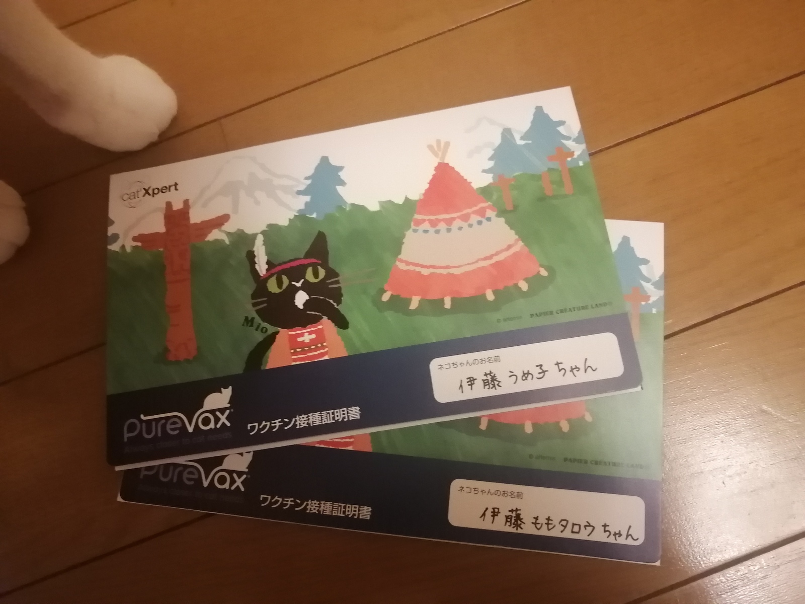 �����ꂳ�܂�����