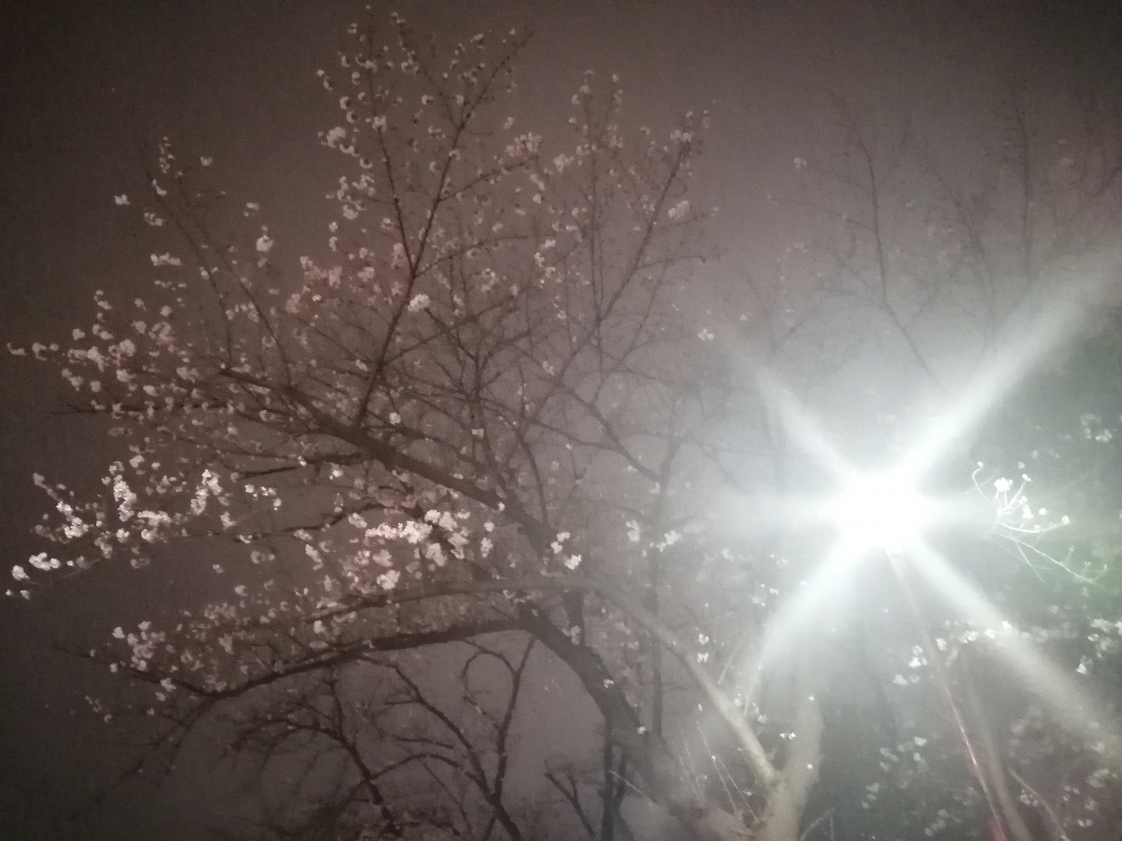 �����ꂳ�܂�����