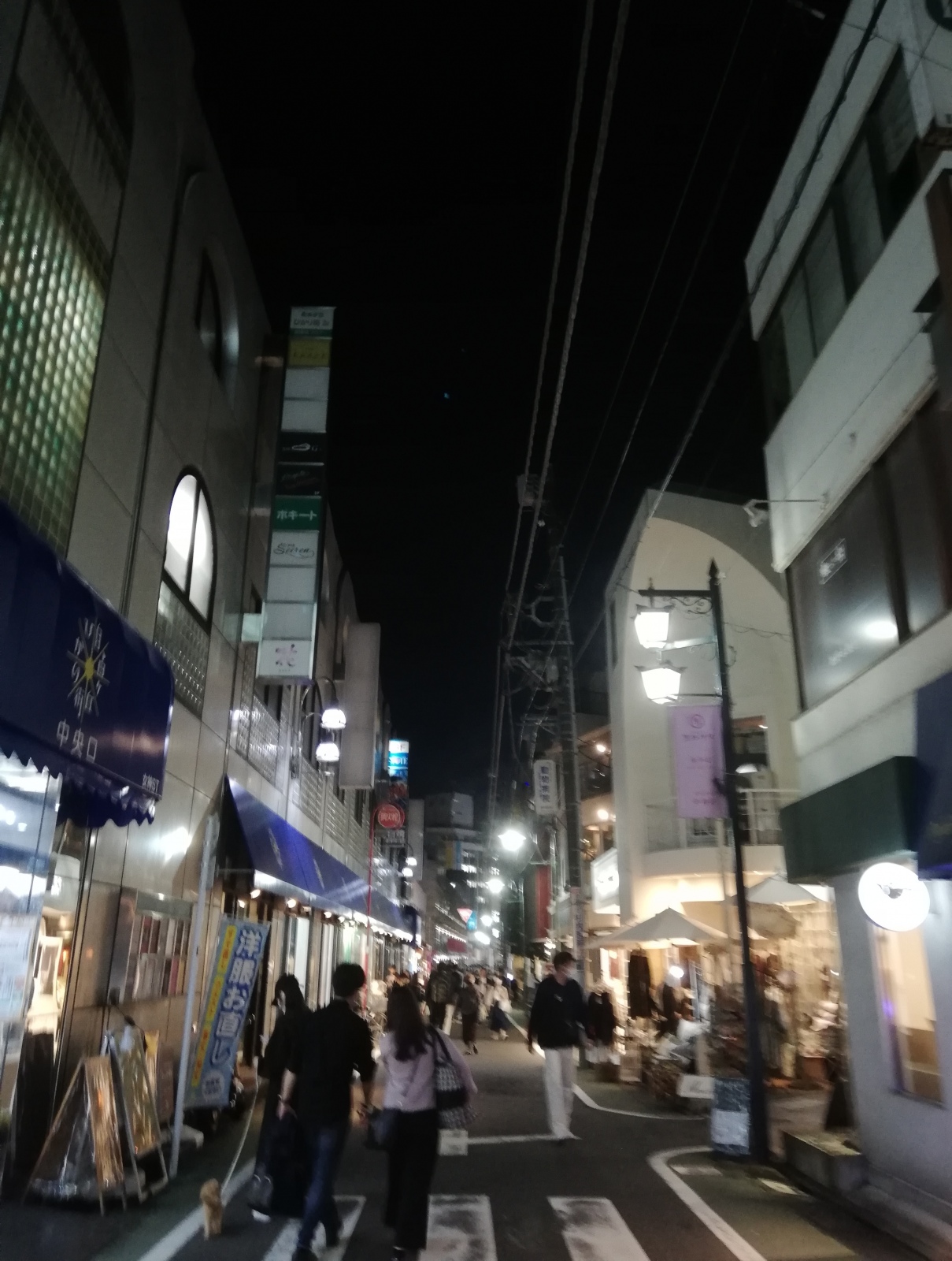 �����ꂳ�܂�����