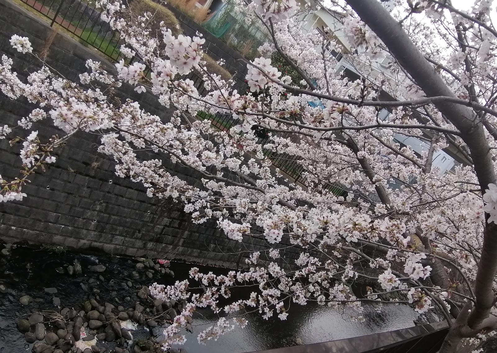 �Ԍ����Ă�E�H�[�L���O