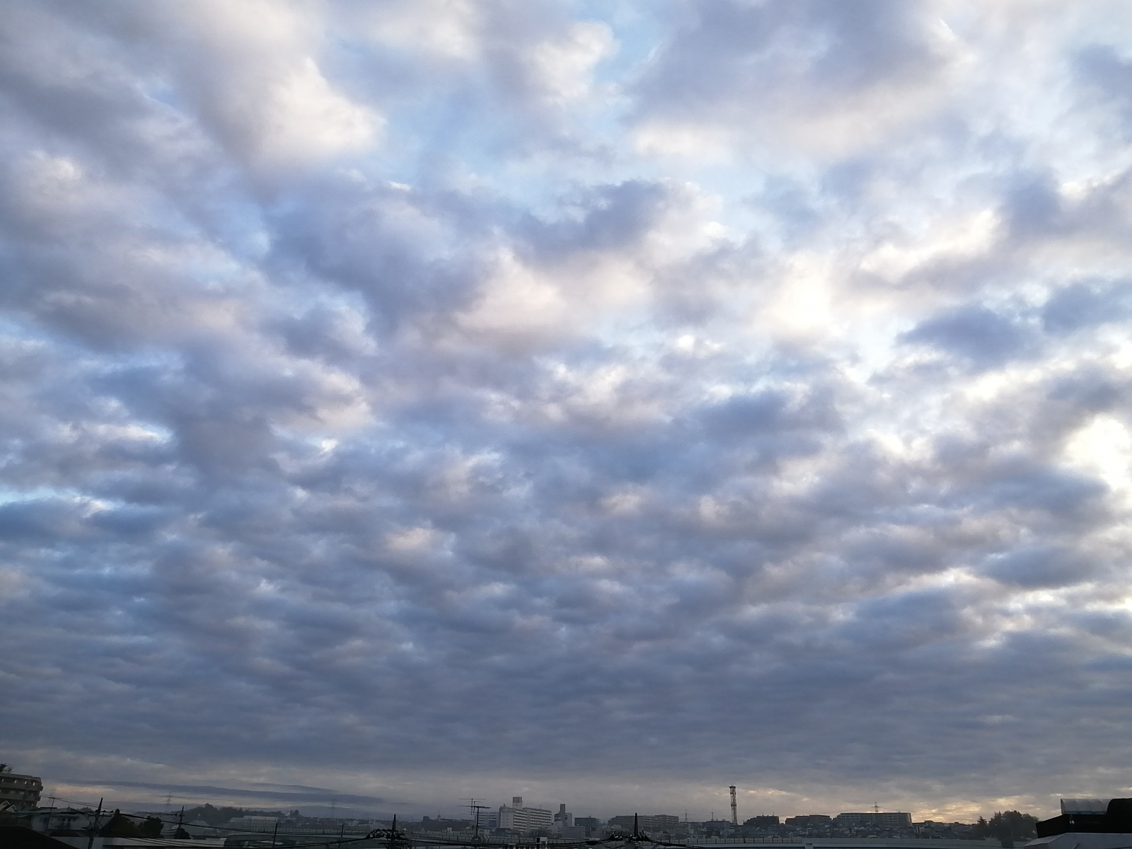 �����A4��9���܂ŏt�x�݂𒸂��܂�