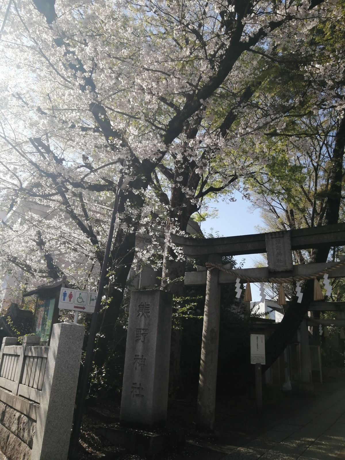 �F��_�Ђ���̍������J�ł���