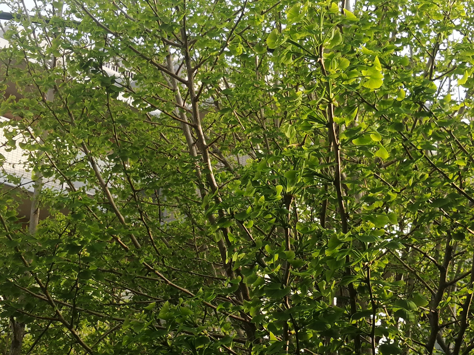 �������M