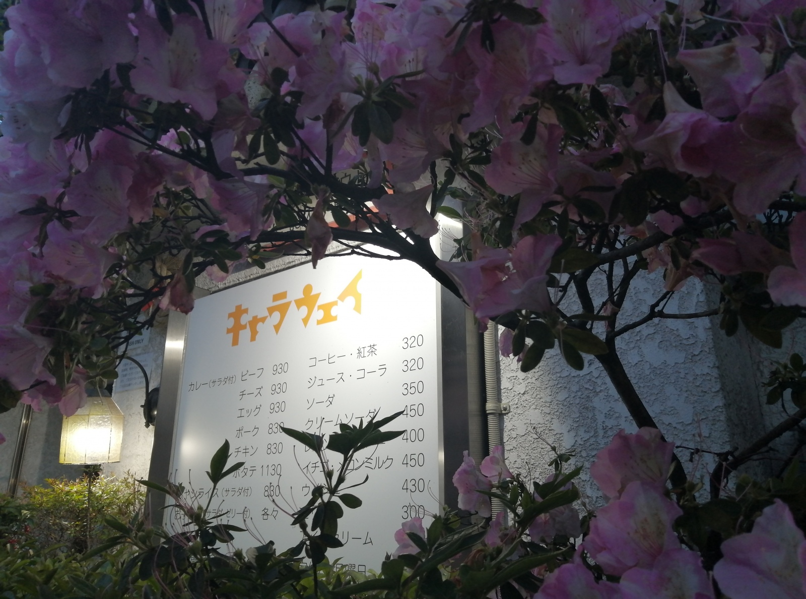 ���O��A�Đ󂵖�