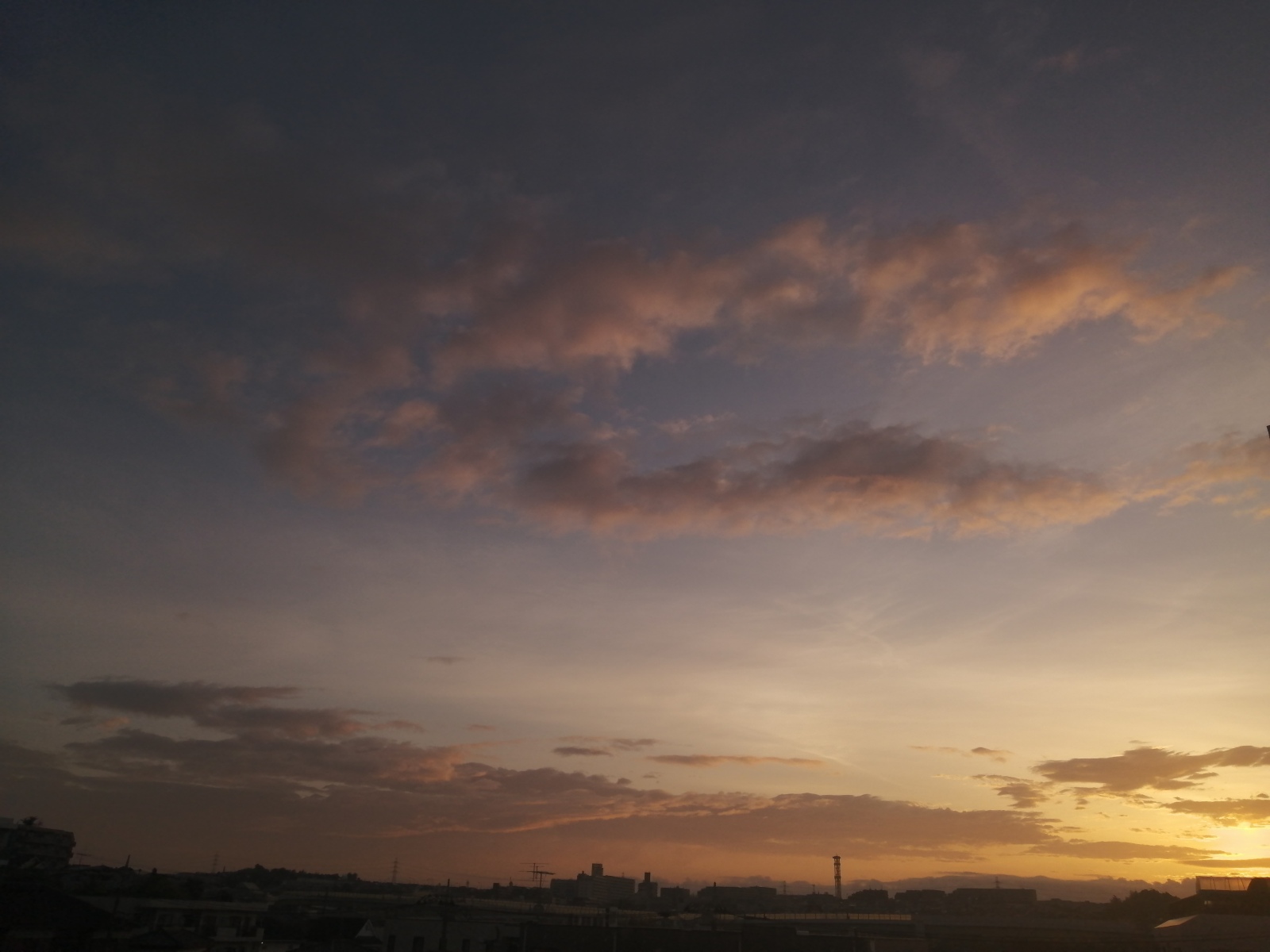 ���͂悤������