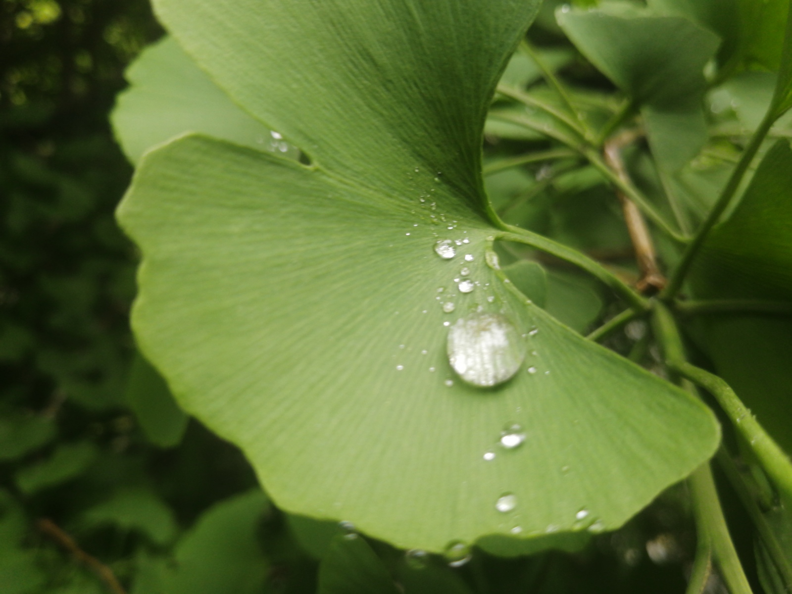 �{��22�����l�L�����u���C�L�{�p�ł�