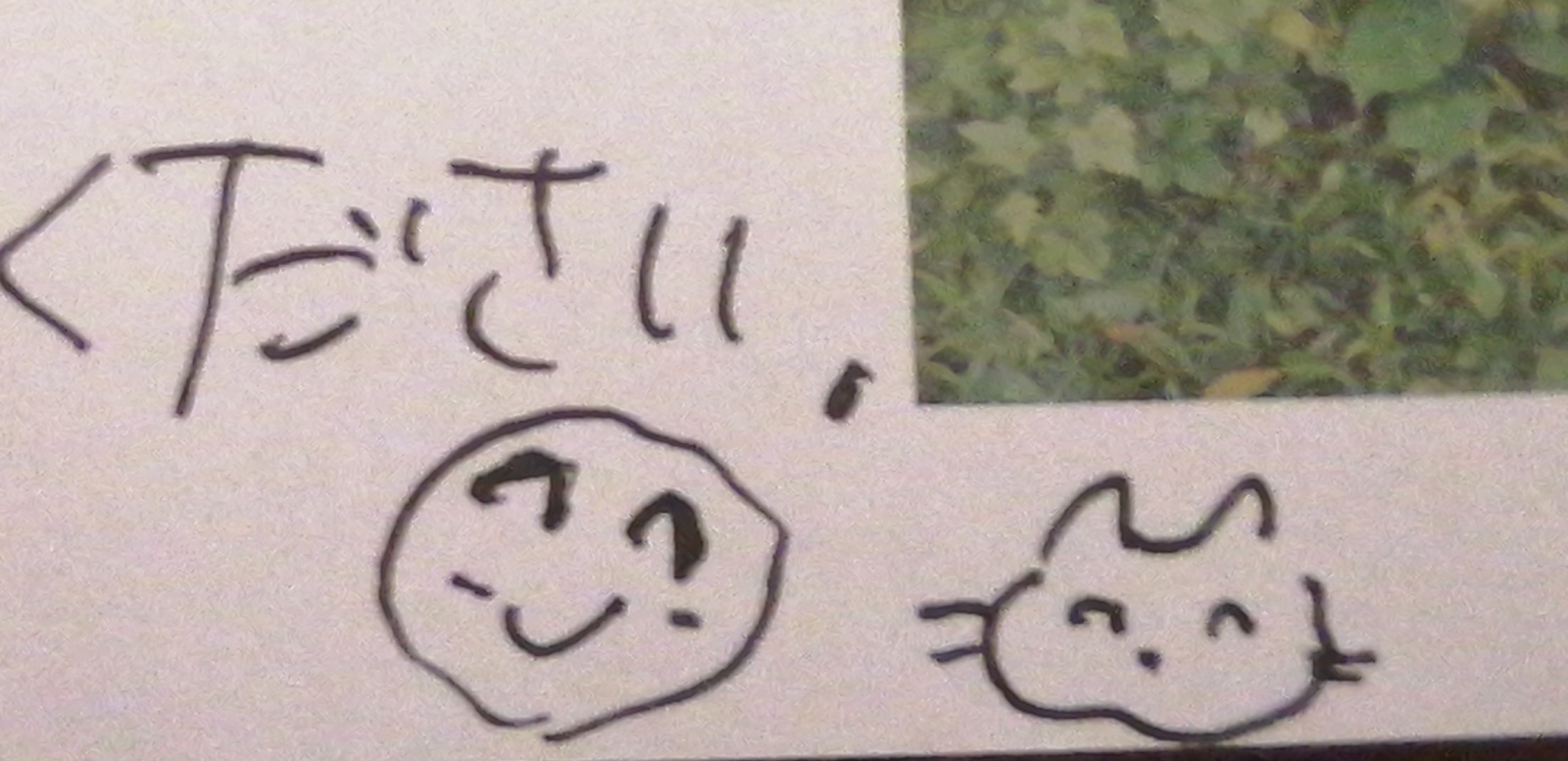 ���͂悤������