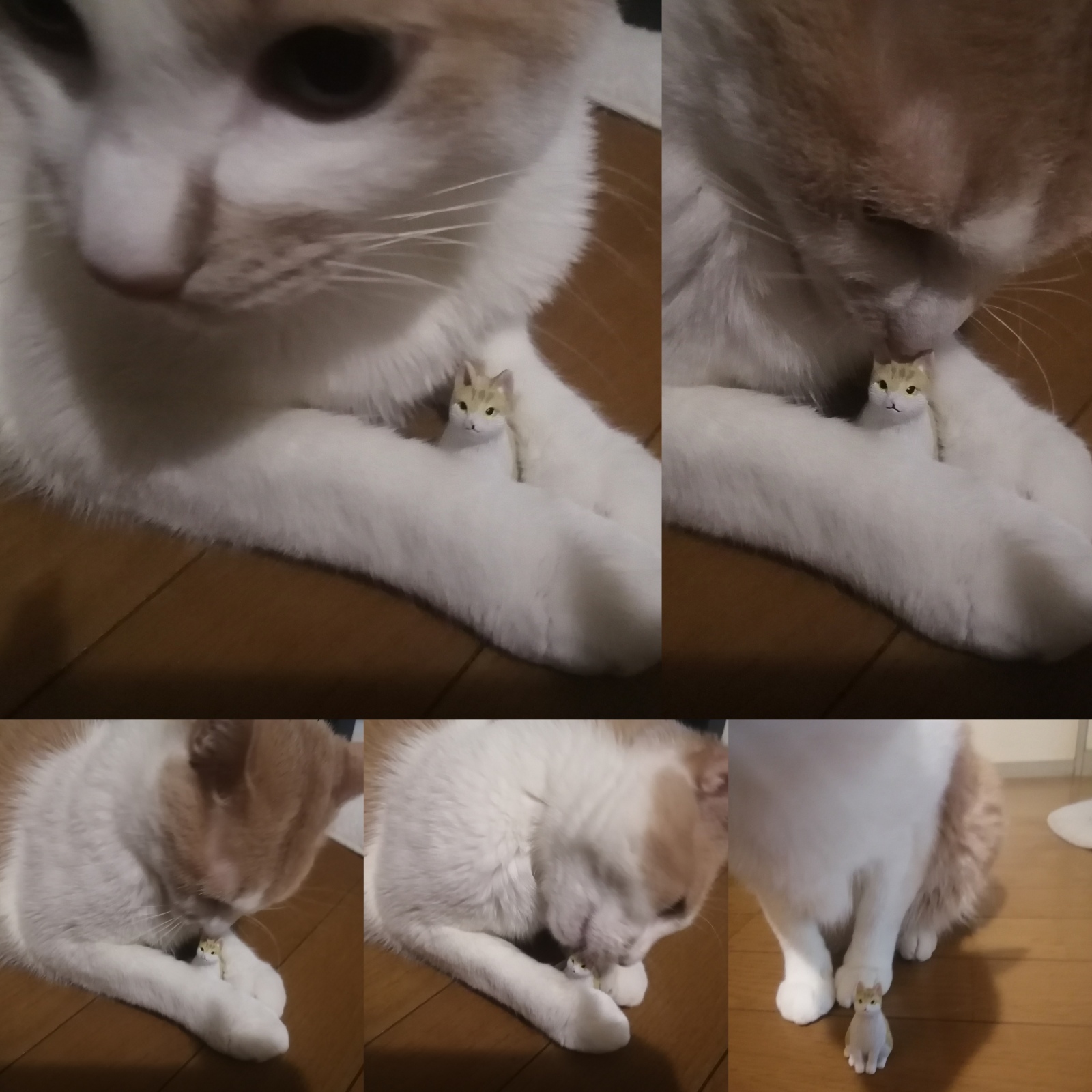 �ڂ���̂ق����͂񂵂�ނ����ǎ��Ă�ł����