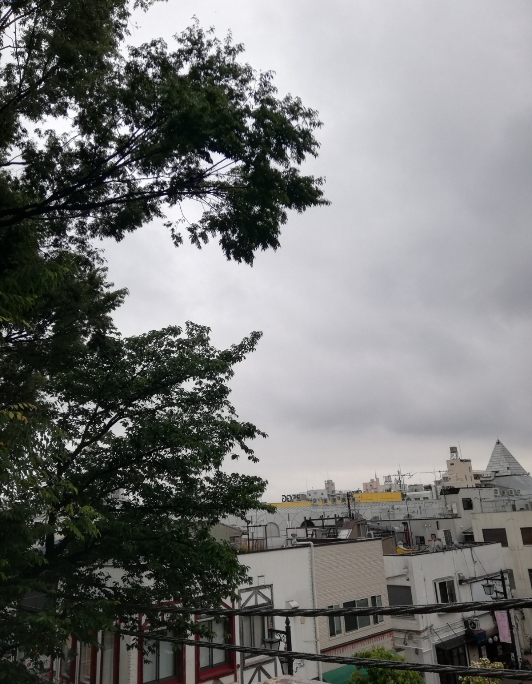 �W���[�e�B�V���ΖʊӒ�ł���