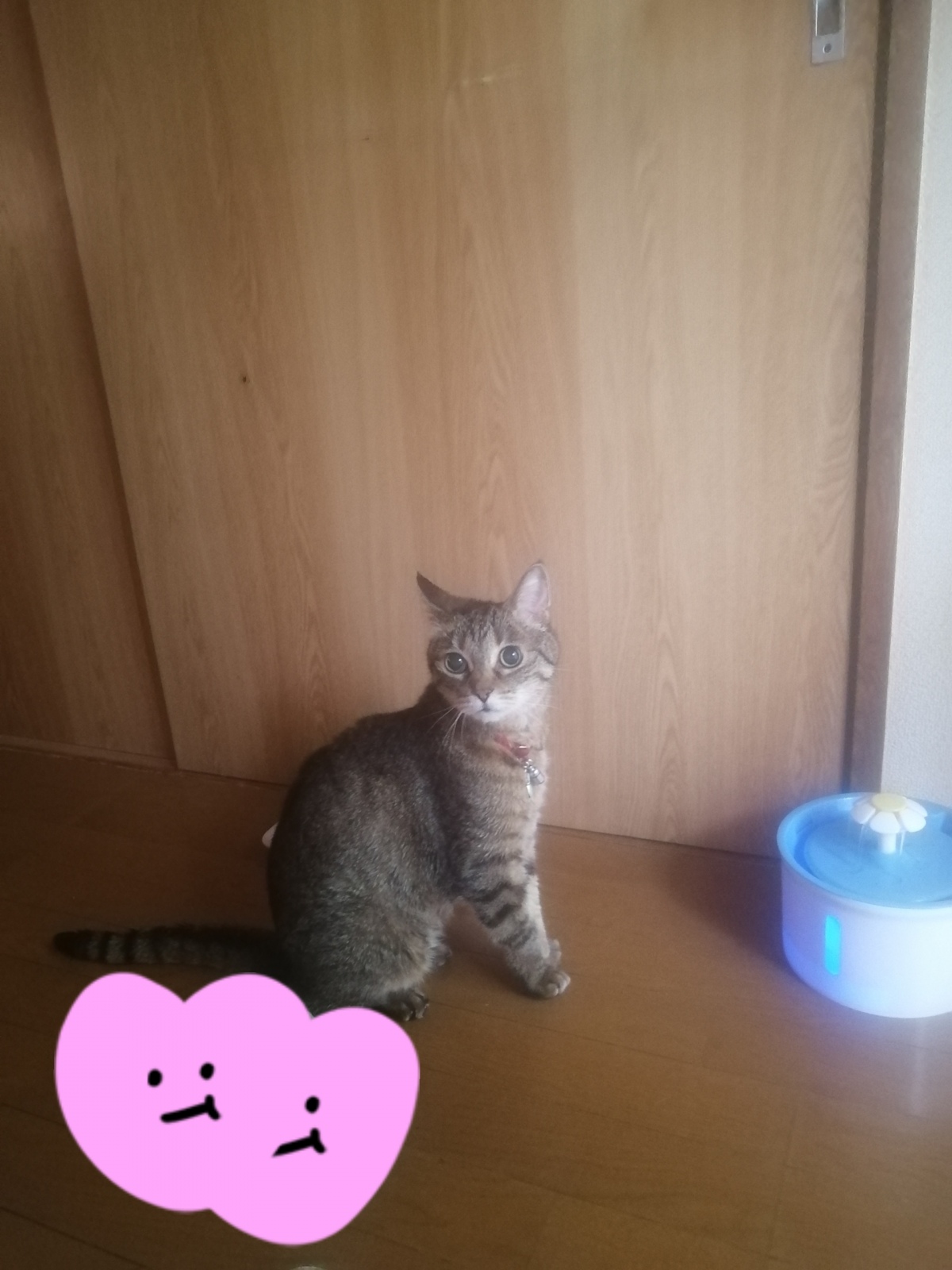 ���͂悤������