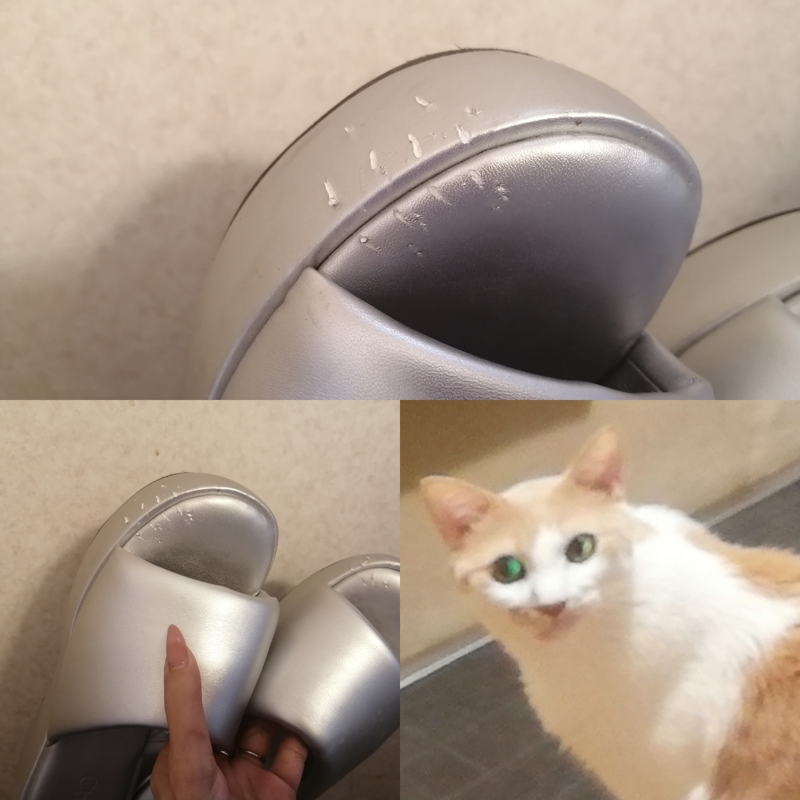 やりおった(再)