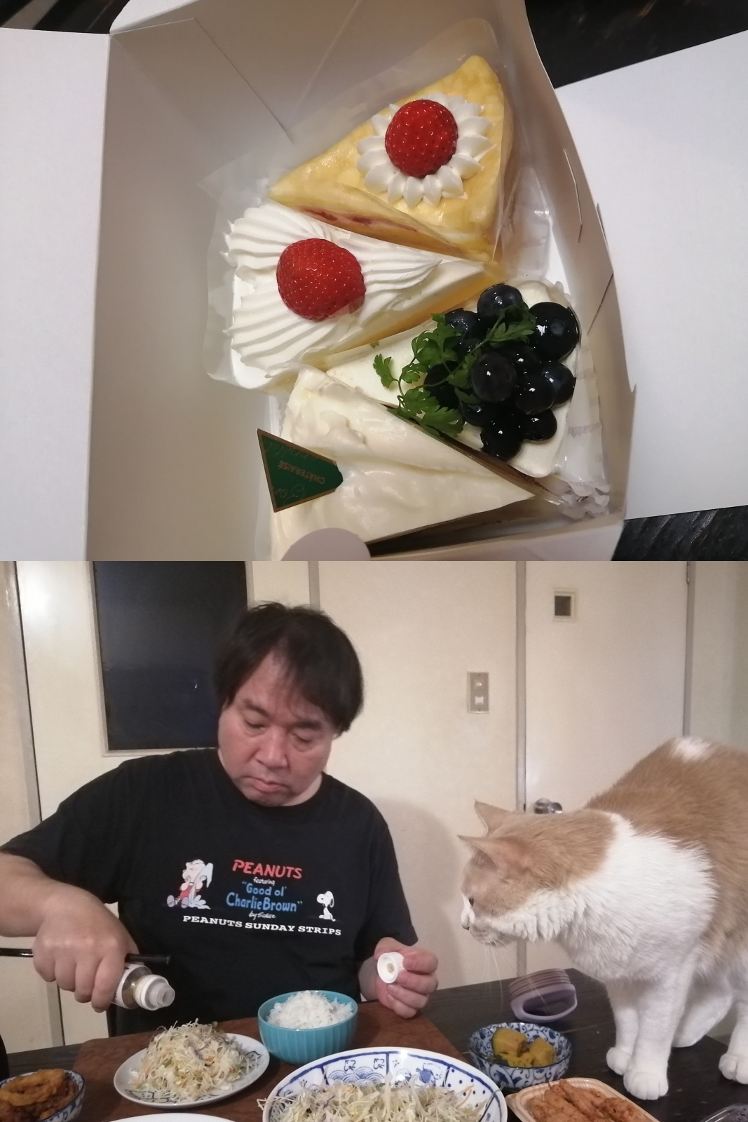�Ɓ[�����܂�̓�