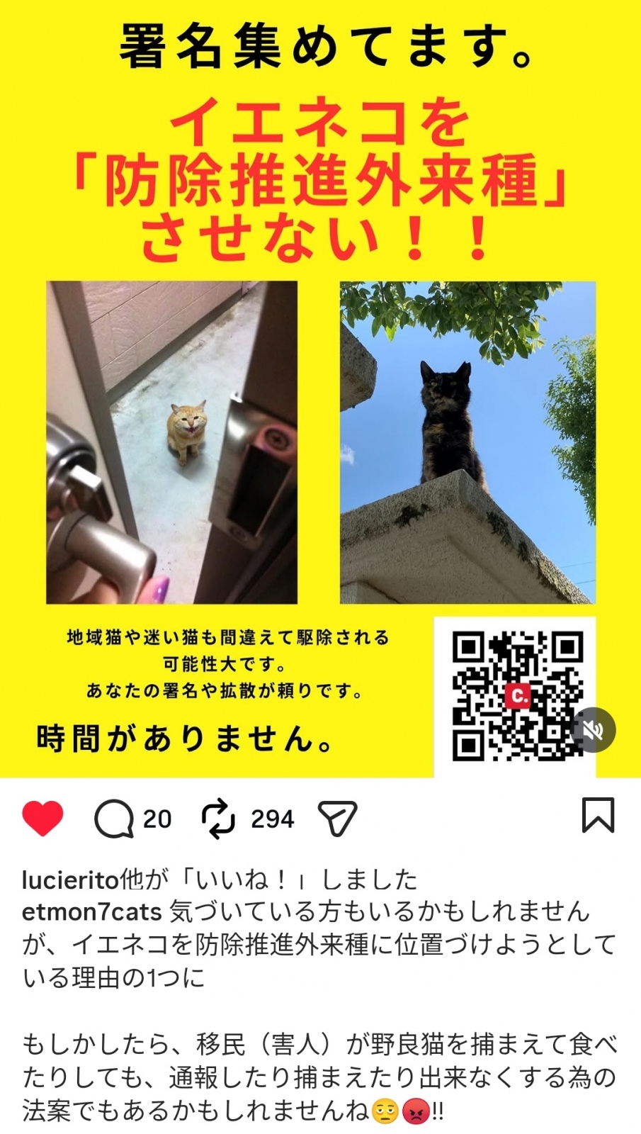 �ŏI�I�ȑ_���͐l�Ԃ̎q��