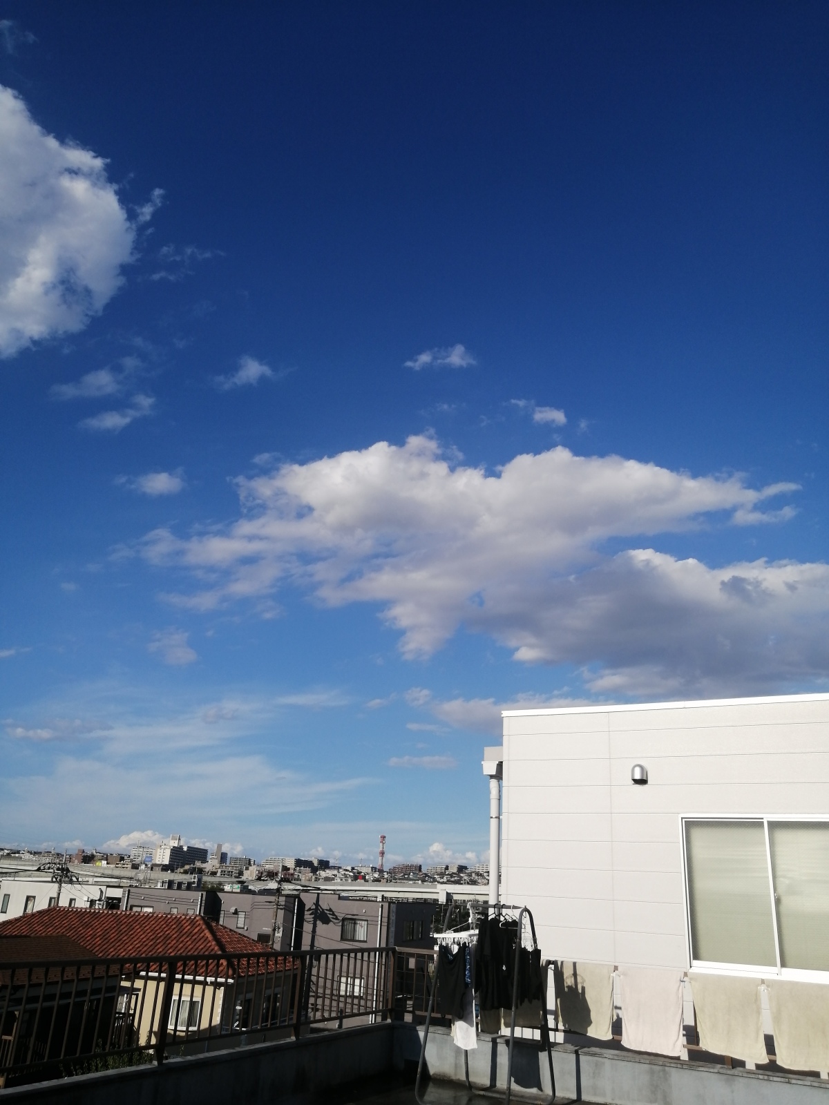 ���l�s�t��A����ȁw ���Ȃ��Ɖ_ �x�L��
