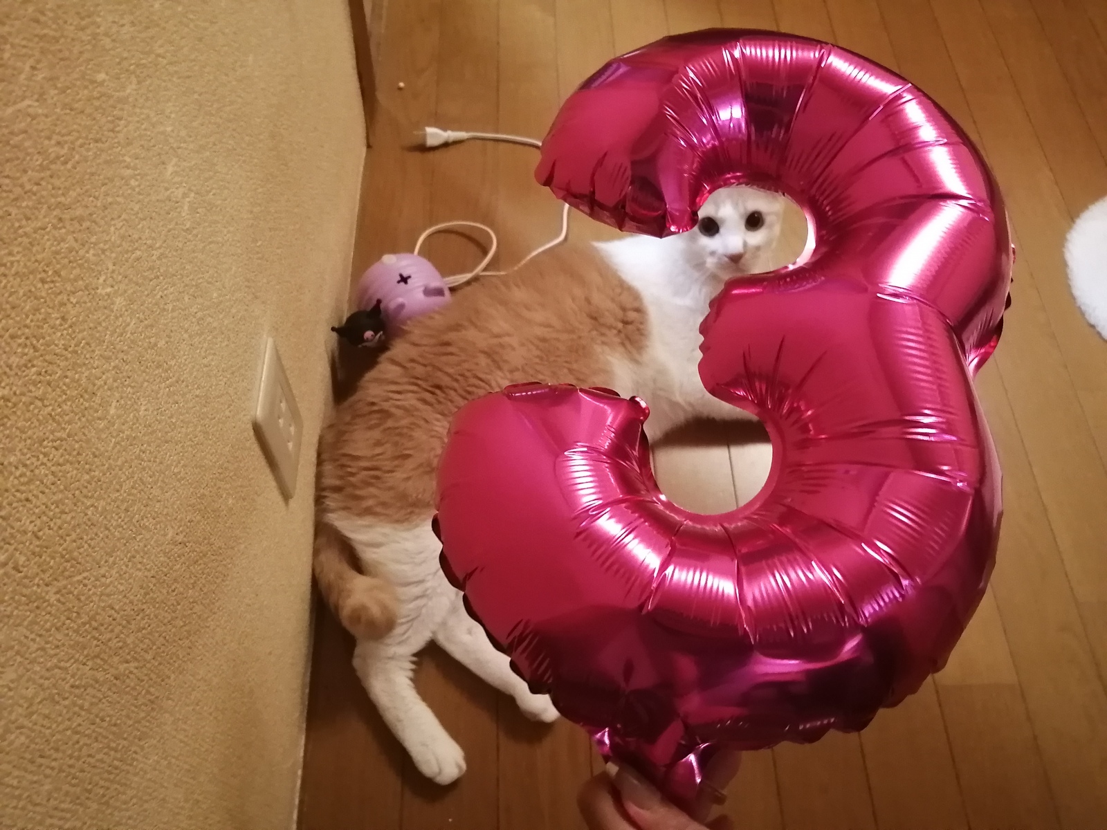 �����^���E���a��