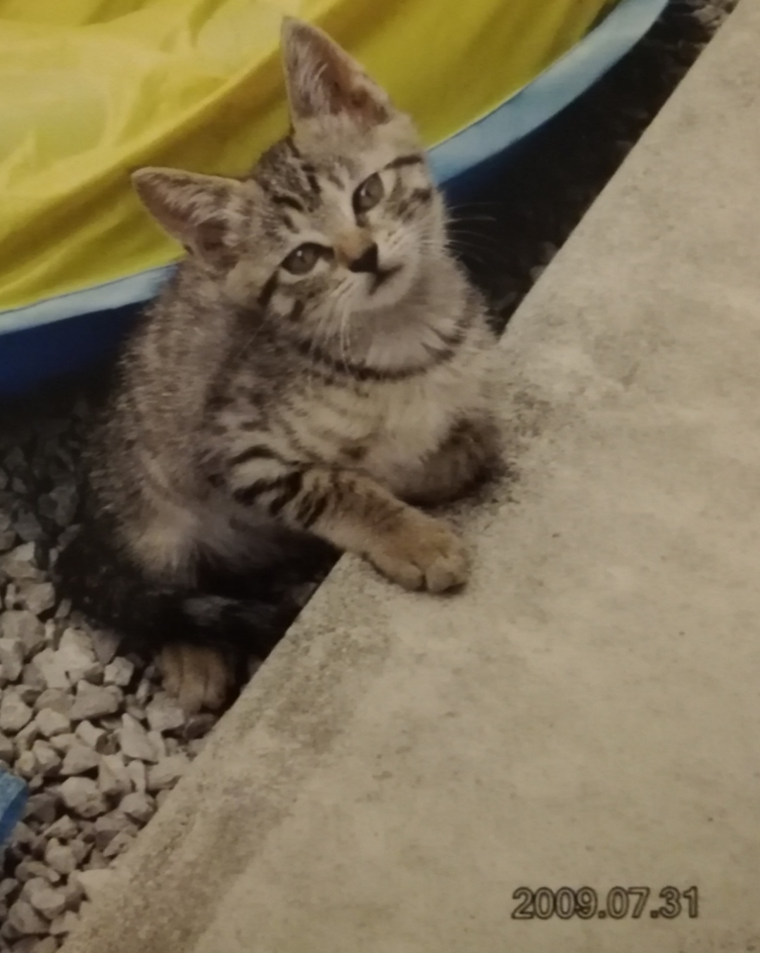 17�N�O�A�����̎q�ɂȂ�O�̂��ߎq