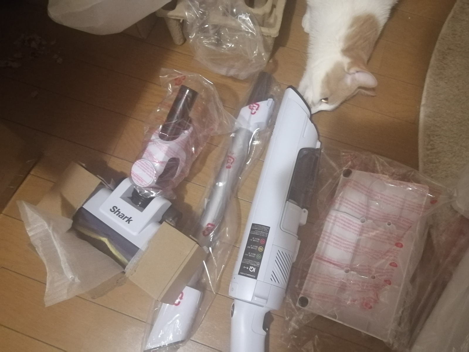 �L�̔�����